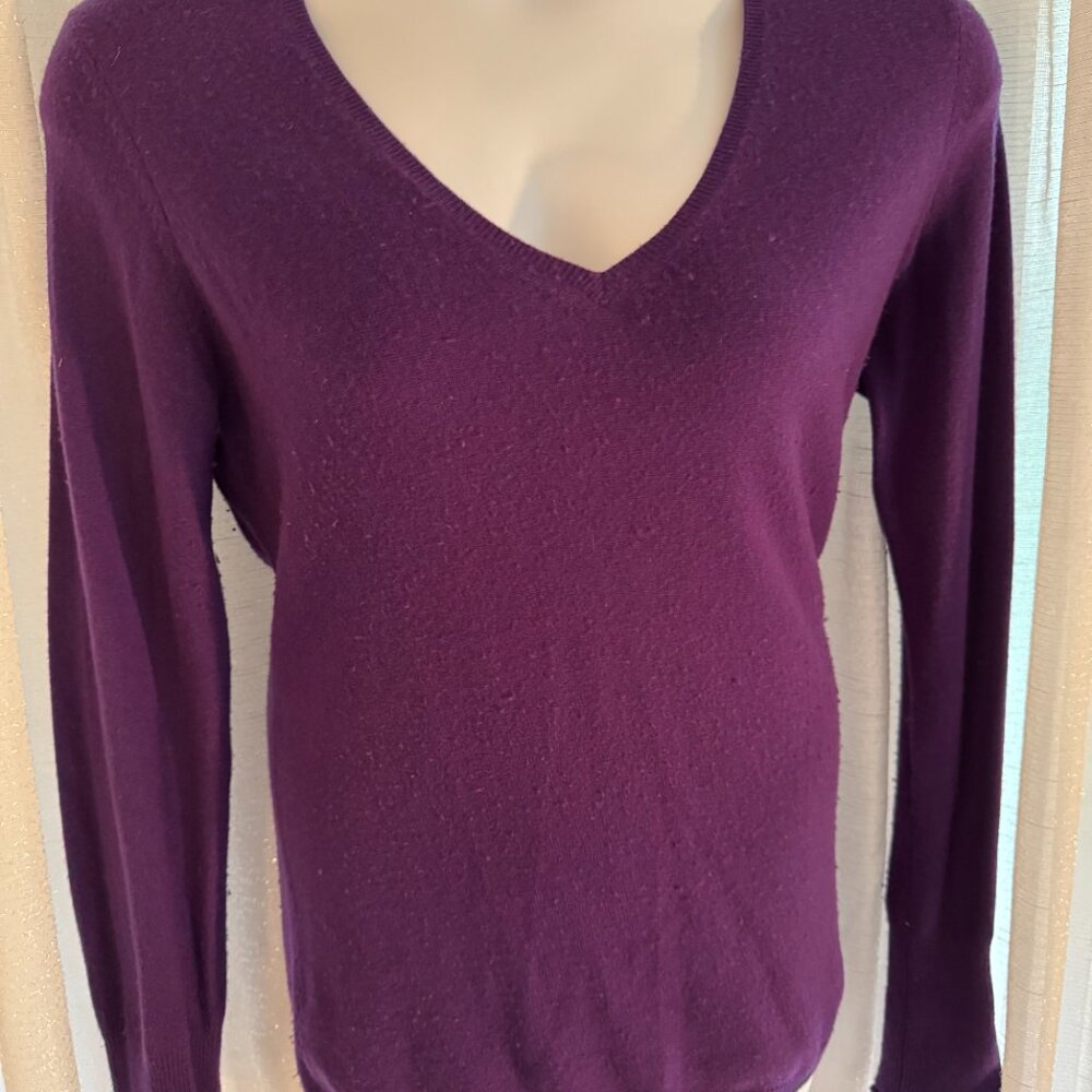 Cashmere Purple V-Neck Sweater